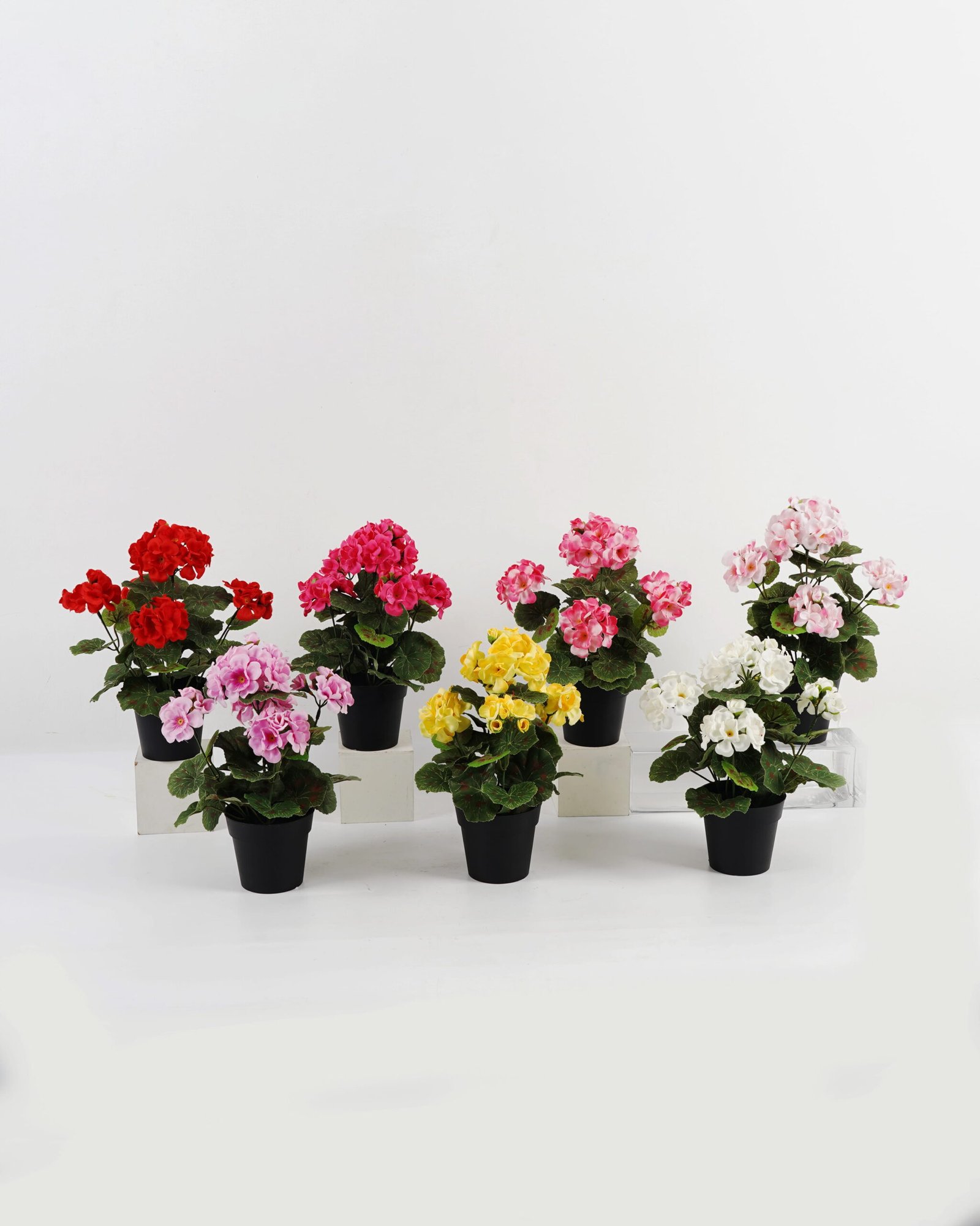 Artificial-Flower-Begonia-in-PP-pot-GS-03323011_2-1.jpg Artificial Flower 22*22*28cm Begonia in PP pot GS-03323011 Potted Flowers&Plants YeahFlower is one of Chinese leading OEM manufacturers and exporters , supplying the silk flowers, wholesale artificial trees