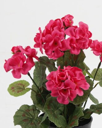 Artificial Flower 22*22*28cm Begonia in PP pot GS-03323011 Potted Flowers&Plants YeahFlower is one of Chinese leading OEM manufacturers and exporters , supplying the silk flowers, wholesale artificial trees Artificial Flower 22*22*28cm Begonia in PP pot GS-03323011 Potted Flowers&Plants YeahFlower is one of Chinese leading OEM manufacturers and exporters , supplying the silk flowers, wholesale artificial trees