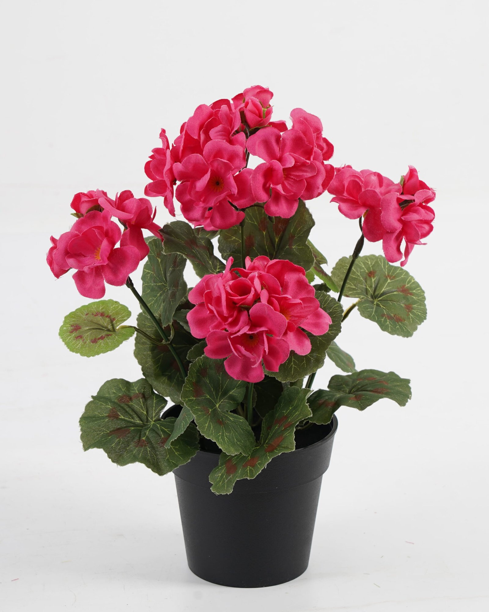 Artificial-Flower-Begonia-in-PP-pot-GS-03323011_5-1.jpg Artificial Flower 22*22*28cm Begonia in PP pot GS-03323011 Potted Flowers&Plants YeahFlower is one of Chinese leading OEM manufacturers and exporters , supplying the silk flowers, wholesale artificial trees