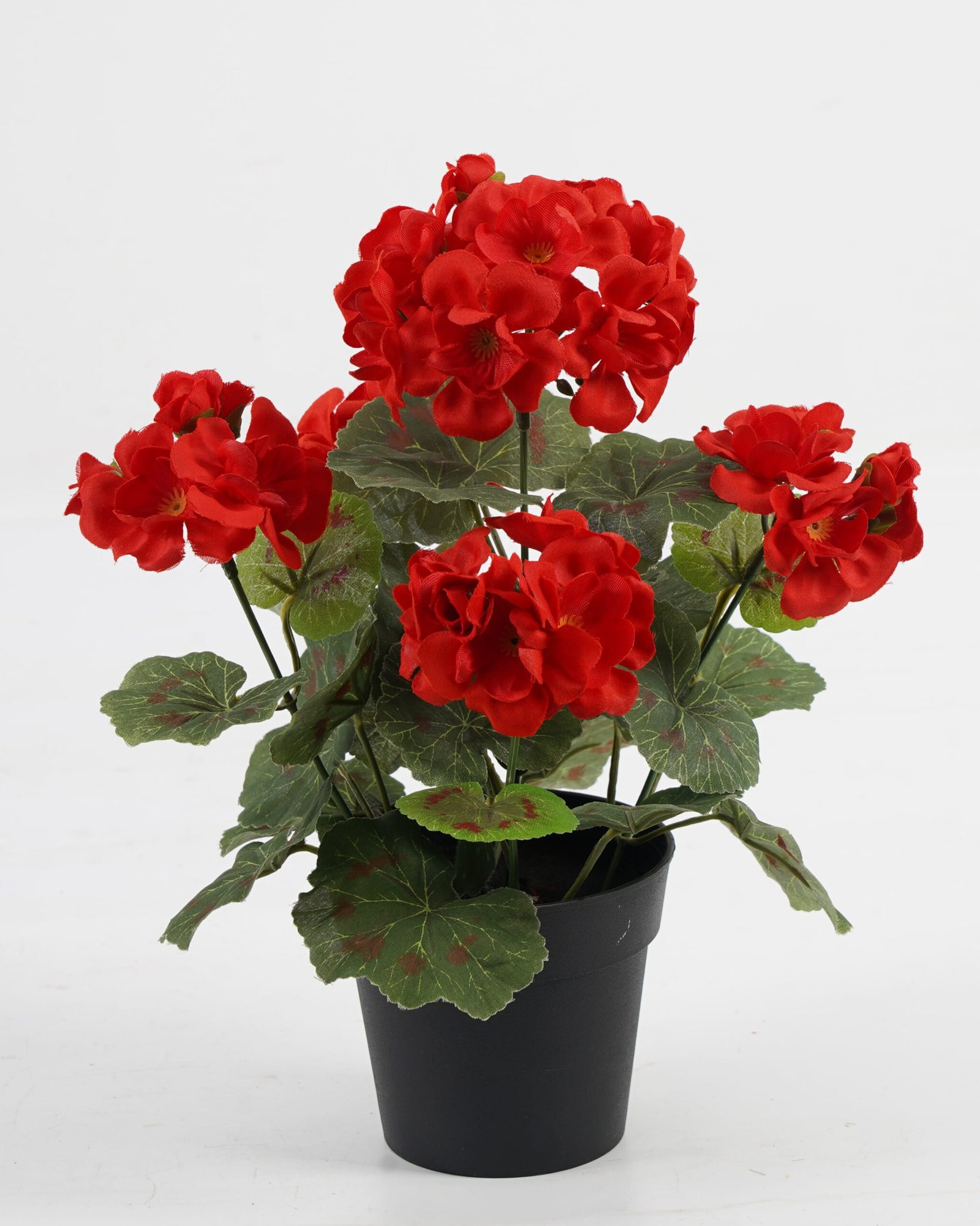 Artificial-Flower-Begonia-in-PP-pot-GS-03323011_6-1.jpg Artificial Flower 22*22*28cm Begonia in PP pot GS-03323011 Potted Flowers&Plants YeahFlower is one of Chinese leading OEM manufacturers and exporters , supplying the silk flowers, wholesale artificial trees