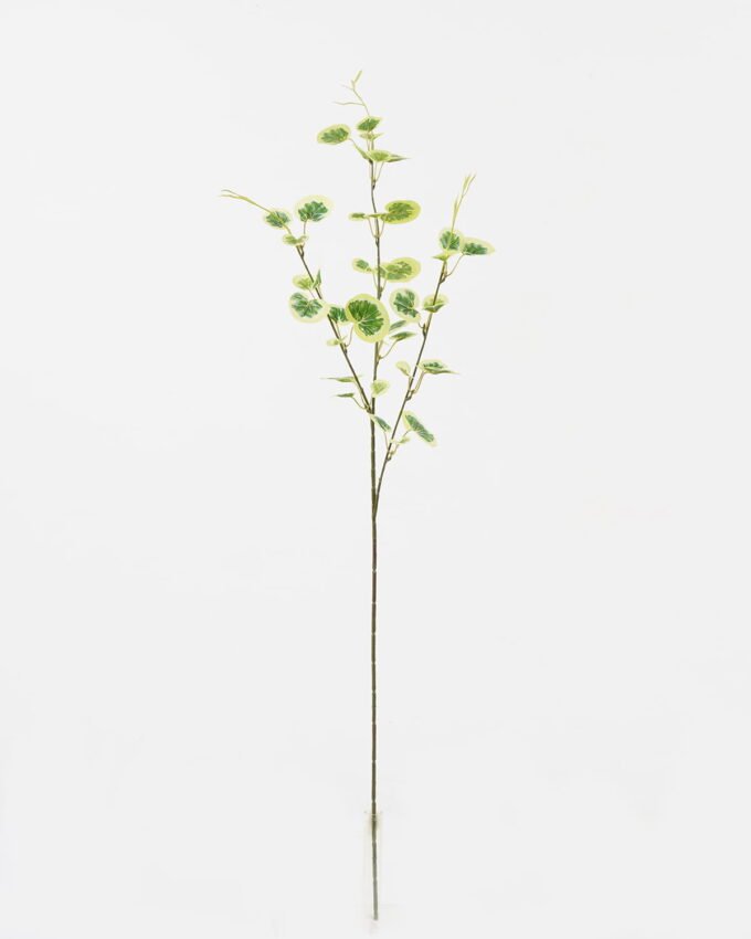 Artificial Flower 22*22*86cm Begonia single stem/39 lvs GS-29823027 Single Flowers YeahFlower is one of Chinese leading OEM manufacturers and exporters , supplying the silk flowers, wholesale artificial trees