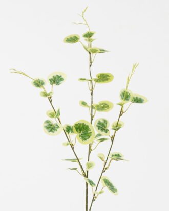 Artificial Flower 22*22*86cm Begonia single stem/39 lvs GS-29823027 Single Flowers YeahFlower is one of Chinese leading OEM manufacturers and exporters , supplying the silk flowers, wholesale artificial trees