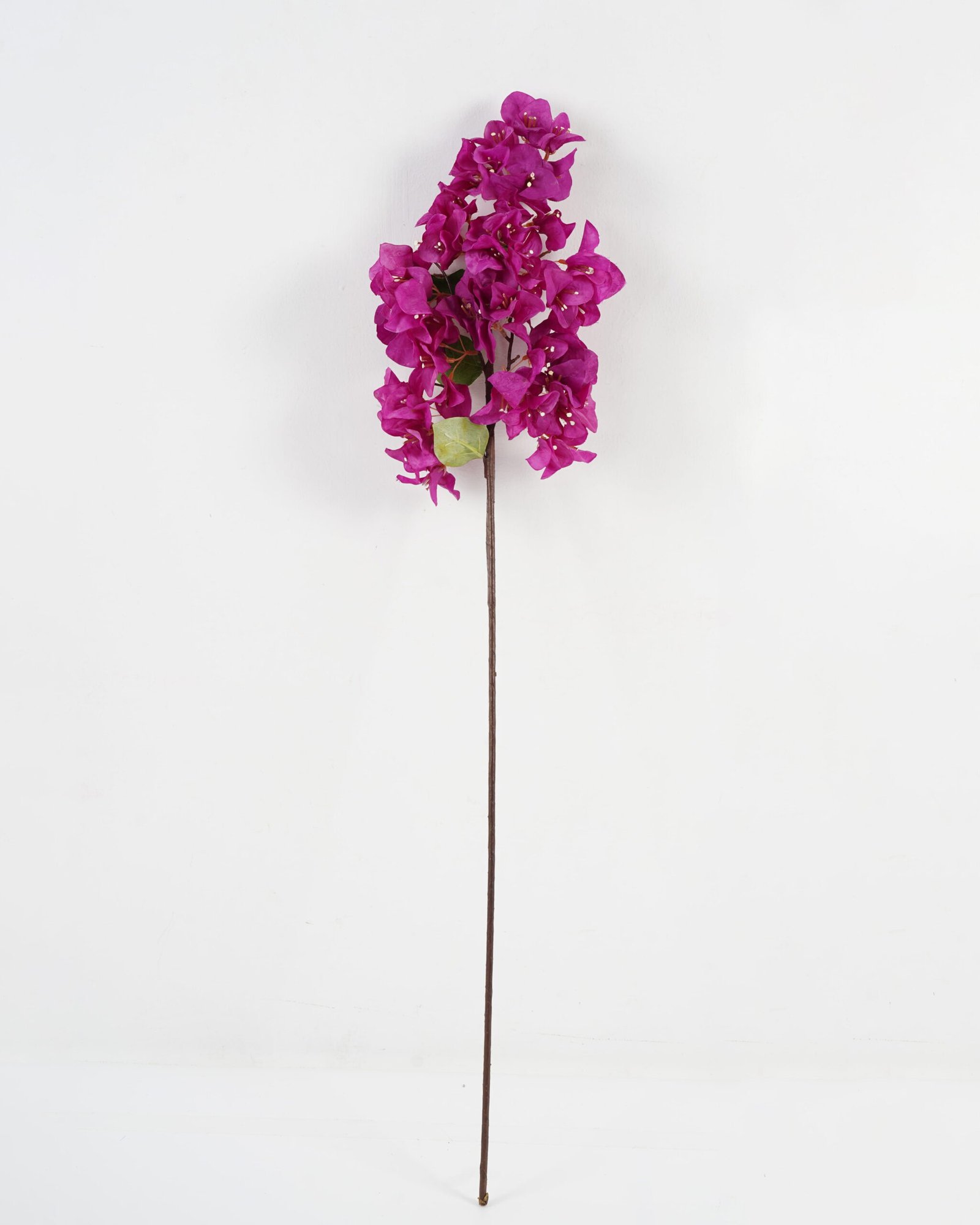 Artificial-Flower-Bougainvillea-speetabilis-single-stem-GS-4070003P24P144-Z3-1.jpg Artificial Flower 20*85cm Bougainvillea speetabilis single stem GS-4070003P24P144-Z3 Single Flowers YeahFlower is one of Chinese leading OEM manufacturers and exporters , supplying the silk flowers, wholesale artificial trees