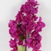Artificial Flower Bougainvillea speetabilis single stem GS-4070003P24P144-Z3_2 Artificial Flower 20*85cm Bougainvillea speetabilis single stem GS-4070003P24P144-Z3 Single Flowers YeahFlower is one of Chinese leading OEM manufacturers and exporters , supplying the silk flowers, wholesale artificial trees