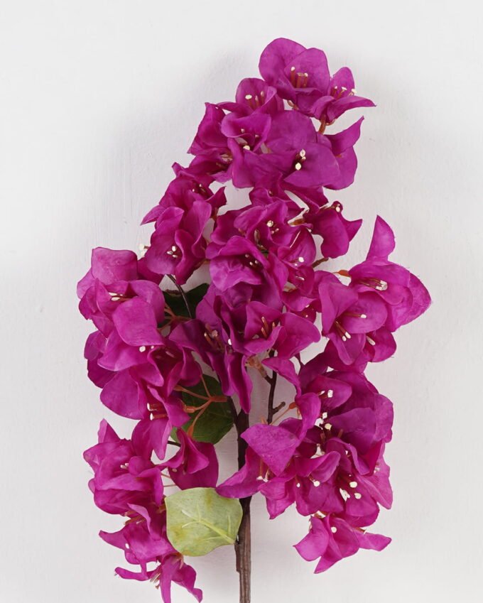 Artificial Flower Bougainvillea speetabilis single stem GS-4070003P24P144-Z3_2 Artificial Flower 20*85cm Bougainvillea speetabilis single stem GS-4070003P24P144-Z3 Single Flowers YeahFlower is one of Chinese leading OEM manufacturers and exporters , supplying the silk flowers, wholesale artificial trees