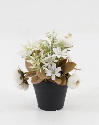 Artificial Flower 17*17*18cm Camellia daisy in PP pot GS-03323047-W1 Potted Flowers&Plants YeahFlower is one of Chinese leading OEM manufacturers and exporters , supplying the silk flowers, wholesale artificial trees Artificial Flower 17*17*18cm Camellia daisy in PP pot GS-03323047-W1 Potted Flowers&Plants YeahFlower is one of Chinese leading OEM manufacturers and exporters , supplying the silk flowers, wholesale artificial trees