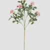 Artificial Flower Cayratia japonica 5 single stem GS-48423022CONTI-P1_3 Artificial Flower Cayratia japonica *5 single stem GS-48423022CONTI-P1 Single Flowers YeahFlower is one of Chinese leading OEM manufacturers and exporters , supplying the silk flowers, wholesale artificial trees