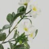 Artificial Flower Cayratia japonica 5 single stem GS-48423022CONTI-W1_4 Artificial Flower Cayratia japonica *5 single stem GS-48423022CONTI-W1 Single Flowers YeahFlower is one of Chinese leading OEM manufacturers and exporters , supplying the silk flowers, wholesale artificial trees