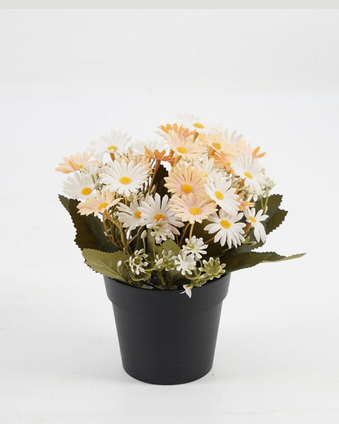 Artificial Flower 20*20*19cm Daisy in PP pot GS-03323028-C1 Potted Flowers&Plants YeahFlower is one of Chinese leading OEM manufacturers and exporters , supplying the silk flowers, wholesale artificial trees