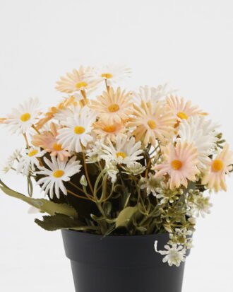 Artificial Flower 20*20*19cm Daisy in PP pot GS-03323028-C1 Potted Flowers&Plants YeahFlower is one of Chinese leading OEM manufacturers and exporters , supplying the silk flowers, wholesale artificial trees Artificial Flower 20*20*19cm Daisy in PP pot GS-03323028-C1 Potted Flowers&Plants YeahFlower is one of Chinese leading OEM manufacturers and exporters , supplying the silk flowers, wholesale artificial trees
