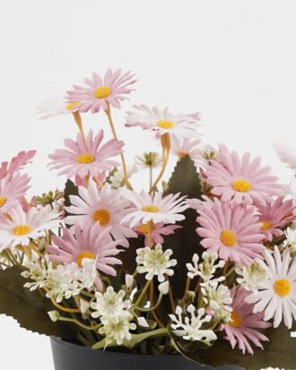 Artificial Flower 20*20*19cm Daisy in PP pot GS-03323028-P2 Potted Flowers&Plants YeahFlower is one of Chinese leading OEM manufacturers and exporters , supplying the silk flowers, wholesale artificial trees Artificial Flower 20*20*19cm Daisy in PP pot GS-03323028-P2 Potted Flowers&Plants YeahFlower is one of Chinese leading OEM manufacturers and exporters , supplying the silk flowers, wholesale artificial trees