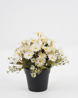 Artificial Flower 20*20*19cm Daisy in PP pot GS-03323028-W1 Potted Flowers&Plants YeahFlower is one of Chinese leading OEM manufacturers and exporters , supplying the silk flowers, wholesale artificial trees Artificial Flower 20*20*19cm Daisy in PP pot GS-03323028-W1 Potted Flowers&Plants YeahFlower is one of Chinese leading OEM manufacturers and exporters , supplying the silk flowers, wholesale artificial trees