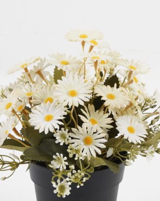 Artificial Flower 20*20*19cm Daisy in PP pot GS-03323028-W1 Potted Flowers&Plants YeahFlower is one of Chinese leading OEM manufacturers and exporters , supplying the silk flowers, wholesale artificial trees Artificial Flower 20*20*19cm Daisy in PP pot GS-03323028-W1 Potted Flowers&Plants YeahFlower is one of Chinese leading OEM manufacturers and exporters , supplying the silk flowers, wholesale artificial trees
