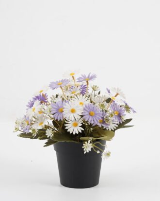Artificial Flower 20*20*19cm Daisy in PP pot GS-03323028-Z1 Potted Flowers&Plants YeahFlower is one of Chinese leading OEM manufacturers and exporters , supplying the silk flowers, wholesale artificial trees Artificial Flower 20*20*19cm Daisy in PP pot GS-03323028-Z1 Potted Flowers&Plants YeahFlower is one of Chinese leading OEM manufacturers and exporters , supplying the silk flowers, wholesale artificial trees