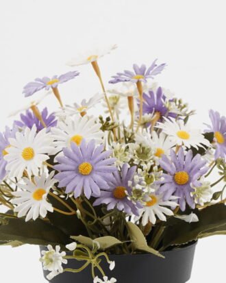 Artificial Flower 20*20*19cm Daisy in PP pot GS-03323028-Z1 Potted Flowers&Plants YeahFlower is one of Chinese leading OEM manufacturers and exporters , supplying the silk flowers, wholesale artificial trees Artificial Flower 20*20*19cm Daisy in PP pot GS-03323028-Z1 Potted Flowers&Plants YeahFlower is one of Chinese leading OEM manufacturers and exporters , supplying the silk flowers, wholesale artificial trees