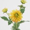 Artificial Flower Dalia 3 moist real touch single stem GS-44323006-Y2_1 Artificial Flower 20*20*60cm Dalia *3 moist real touch single stem GS-44323006-Y2 Single Flowers YeahFlower is one of Chinese leading OEM manufacturers and exporters , supplying the silk flowers, wholesale artificial trees