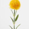 Artificial Flower 9*9*51cm Dianthus chinensis single stem GS-05523005-Y1 Single Flowers YeahFlower is one of Chinese leading OEM manufacturers and exporters , supplying the silk flowers, wholesale artificial trees
