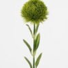 Artificial Flower Dianthus chinensis single stem GS-05523005_2 Artificial Flower 9*9*51cm Dianthus chinensis single stem GS-05523005 Single Flowers YeahFlower is one of Chinese leading OEM manufacturers and exporters , supplying the silk flowers, wholesale artificial trees