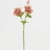 Artificial Flower 16*16*50cm Flower *2 single stem GS-53623029-O1 Single Flowers YeahFlower is one of Chinese leading OEM manufacturers and exporters , supplying the silk flowers, wholesale artificial trees