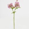 Artificial Flower 16*16*50cm Flower *2 single stem GS-53623029-P1 Single Flowers YeahFlower is one of Chinese leading OEM manufacturers and exporters , supplying the silk flowers, wholesale artificial trees