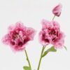 Artificial Flower 16*16*50cm Flower *2 single stem GS-53623029-P3 Single Flowers YeahFlower is one of Chinese leading OEM manufacturers and exporters , supplying the silk flowers, wholesale artificial trees