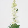 Artificial Flower Flower 3 single stem GS-44323005-W1_1 Artificial Flower 13*13*73cm Flower *3 single stem GS-44323005-W1 Single Flowers YeahFlower is one of Chinese leading OEM manufacturers and exporters , supplying the silk flowers, wholesale artificial trees