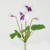 Artificial Flower Flower 4 single stem GVC-23-2985CONTI-W1_3 Artificial Flower 21*21*27cm Flower *4 single stem GVC-23-2985CONTI-W1 Flowers Bush YeahFlower is one of Chinese leading OEM manufacturers and exporters , supplying the silk flowers, wholesale artificial trees