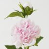 Artificial Flower GS-70723002CONTI-P2_6 Artificial Flower GS-70723002CONTI-P2 Single Flowers YeahFlower is one of Chinese leading OEM manufacturers and exporters , supplying the silk flowers, wholesale artificial trees