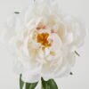 Artificial Flower  GS-70723003CONTI-W1 Single Flowers YeahFlower is one of Chinese leading OEM manufacturers and exporters , supplying the silk flowers, wholesale artificial trees