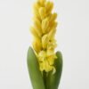 Artificial Flower 7*7*29cm Hyacinth+Onion single stem GS-41523017-Y1 Potted Flowers&Plants YeahFlower is one of Chinese leading OEM manufacturers and exporters , supplying the silk flowers, wholesale artificial trees