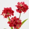 Artificial Flower 26*26*52cm Hydrangea *3 single stem GS-128J23028CONTI-R1 Flowers Bush YeahFlower is one of Chinese leading OEM manufacturers and exporters , supplying the silk flowers, wholesale artificial trees