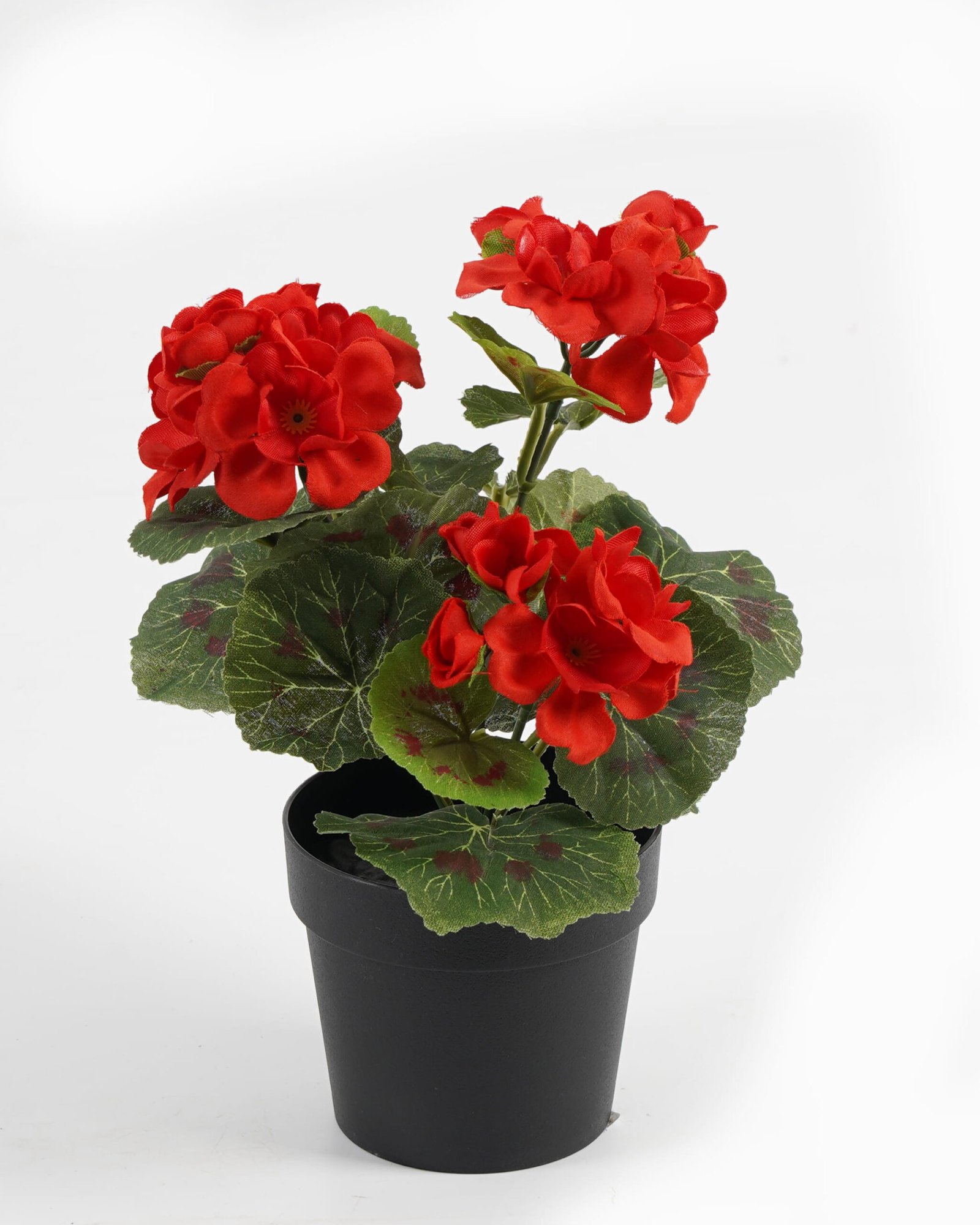 Artificial-Flower-Hydrangea-in-PP-pot-GS-03323010-R1_1-1.jpg Artificial Flower 15*15*22cm Hydrangea in PP pot GS-03323010-R1 Potted Flowers&Plants YeahFlower is one of Chinese leading OEM manufacturers and exporters , supplying the silk flowers, wholesale artificial trees