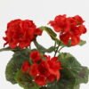 Artificial Flower Hydrangea in PP pot GS-03323010-R1_6 Artificial Flower 15*15*22cm Hydrangea in PP pot GS-03323010-R1 Potted Flowers&Plants YeahFlower is one of Chinese leading OEM manufacturers and exporters , supplying the silk flowers, wholesale artificial trees