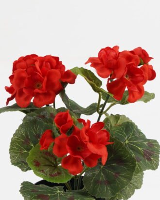 Artificial Flower 15*15*22cm Hydrangea in PP pot GS-03323010-R1 Potted Flowers&Plants YeahFlower is one of Chinese leading OEM manufacturers and exporters , supplying the silk flowers, wholesale artificial trees Artificial Flower 15*15*22cm Hydrangea in PP pot GS-03323010-R1 Potted Flowers&Plants YeahFlower is one of Chinese leading OEM manufacturers and exporters , supplying the silk flowers, wholesale artificial trees