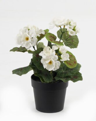 Artificial Flower 15*15*22cm Hydrangea in PP pot GS-03323010-W1 Potted Flowers&Plants YeahFlower is one of Chinese leading OEM manufacturers and exporters , supplying the silk flowers, wholesale artificial trees Artificial Flower 15*15*22cm Hydrangea in PP pot GS-03323010-W1 Potted Flowers&Plants YeahFlower is one of Chinese leading OEM manufacturers and exporters , supplying the silk flowers, wholesale artificial trees
