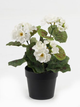 Artificial Flower 28*23*44CM Begonia*7 in plastic pot GS-04820039-Y1 Potted Flowers&Plants 3,000+ sqm showroom with thousands of artificial flowers, plants & trees ready for global sourcing.