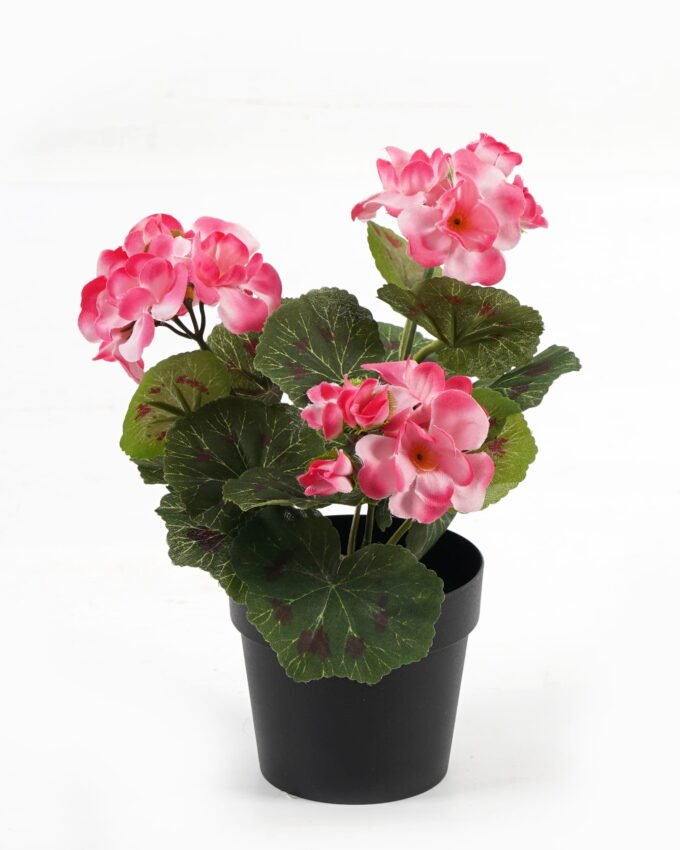 Artificial Flower Hydrangea in PP pot GS-03323010_4 Artificial Flower 15*15*22cm Hydrangea in PP pot GS-03323010 Potted Flowers&Plants YeahFlower is one of Chinese leading OEM manufacturers and exporters , supplying the silk flowers, wholesale artificial trees