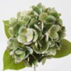 Artificial Flower 23*23*60cm Hydrangea single stem GS-31323007CONTI-G1 Single Flowers YeahFlower is one of Chinese leading OEM manufacturers and exporters , supplying the silk flowers, wholesale artificial trees