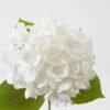 Artificial Flower 23*23*60cm Hydrangea single stem GS-31323007CONTI-W1 Single Flowers YeahFlower is one of Chinese leading OEM manufacturers and exporters , supplying the silk flowers, wholesale artificial trees