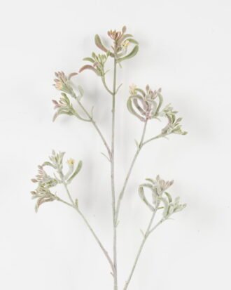 Artificial Flower 11*11*76cm Kangaroo paw single stem GS-30323001-G4 Single Flowers YeahFlower is one of Chinese leading OEM manufacturers and exporters , supplying the silk flowers, wholesale artificial trees