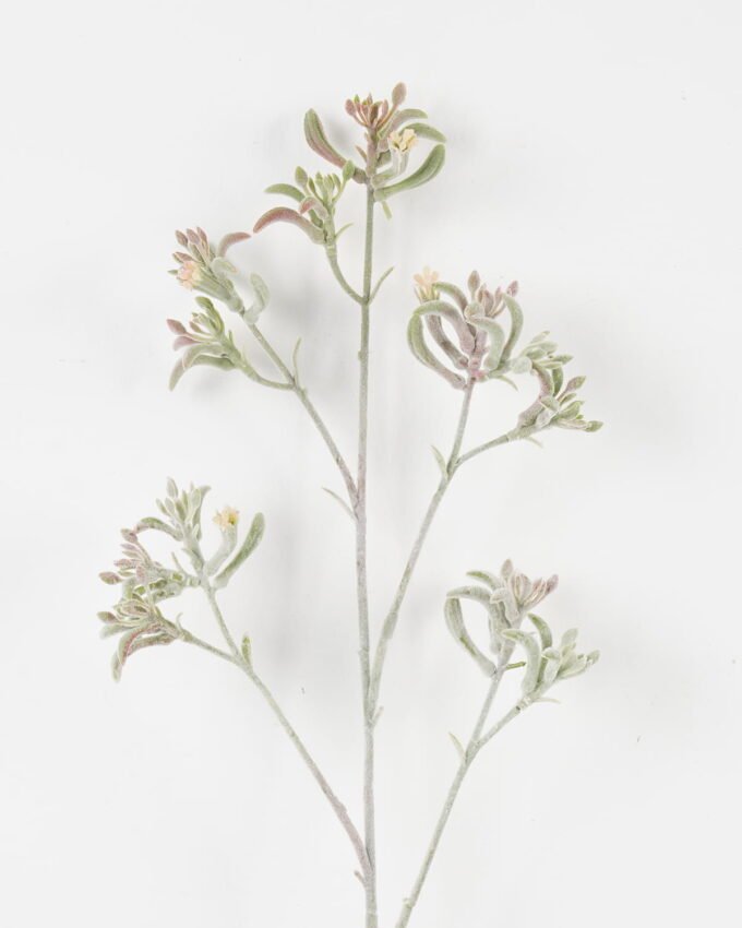 Artificial Flower 11*11*76cm Kangaroo paw single stem GS-30323001-G4 Single Flowers YeahFlower is one of Chinese leading OEM manufacturers and exporters , supplying the silk flowers, wholesale artificial trees