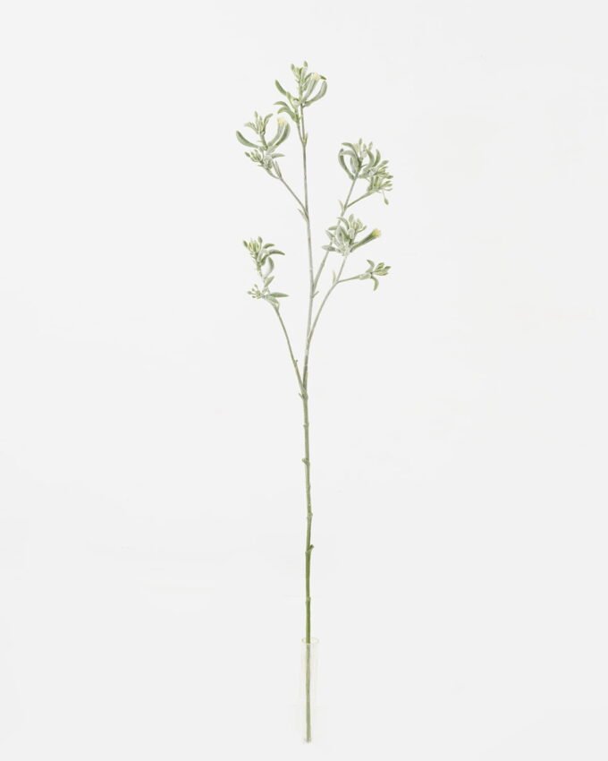 Artificial Flower 11*11*76cm Kangaroo paw single stem GS-30323001-G4 Single Flowers YeahFlower is one of Chinese leading OEM manufacturers and exporters , supplying the silk flowers, wholesale artificial trees
