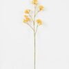 Artificial Flower 11*11*76cm Kangaroo paw single stem GS-30323001-O1 Single Flowers YeahFlower is one of Chinese leading OEM manufacturers and exporters , supplying the silk flowers, wholesale artificial trees