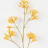 Artificial Flower 11*11*76cm Kangaroo paw single stem GS-30323001-O1 Single Flowers YeahFlower is one of Chinese leading OEM manufacturers and exporters , supplying the silk flowers, wholesale artificial trees