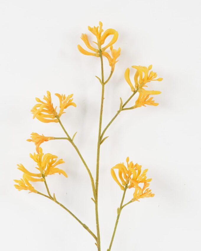 Artificial Flower 11*11*76cm Kangaroo paw single stem GS-30323001-O1 Single Flowers YeahFlower is one of Chinese leading OEM manufacturers and exporters , supplying the silk flowers, wholesale artificial trees