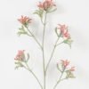 Artificial Flower Kangaroo paw single stem GS-30323001-R1_5 Artificial Flower 11*11*76cm Kangaroo paw single stem GS-30323001-R1 Single Flowers YeahFlower is one of Chinese leading OEM manufacturers and exporters , supplying the silk flowers, wholesale artificial trees