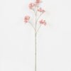 Artificial Flower Kangaroo paw single stem GS-30323001-R1_6 Artificial Flower 11*11*76cm Kangaroo paw single stem GS-30323001-R1 Single Flowers YeahFlower is one of Chinese leading OEM manufacturers and exporters , supplying the silk flowers, wholesale artificial trees