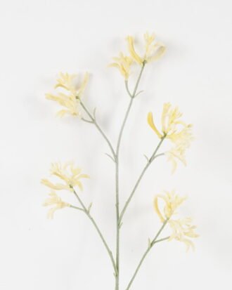 Artificial Flower 11*11*76cm Kangaroo paw single stem GS-30323001 Single Flowers YeahFlower is one of Chinese leading OEM manufacturers and exporters , supplying the silk flowers, wholesale artificial trees