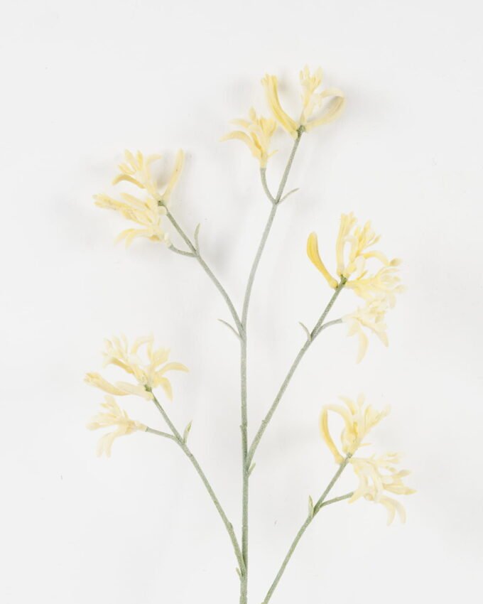 Artificial Flower 11*11*76cm Kangaroo paw single stem GS-30323001 Single Flowers YeahFlower is one of Chinese leading OEM manufacturers and exporters , supplying the silk flowers, wholesale artificial trees