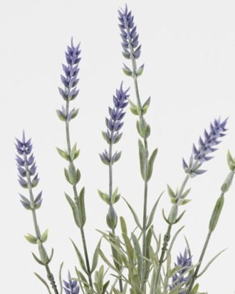 Artificial Flower 13*13*46cm Lavender *7 bush GS-05523020-Z1 Flowers Bush YeahFlower is one of Chinese leading OEM manufacturers and exporters , supplying the silk flowers, wholesale artificial trees